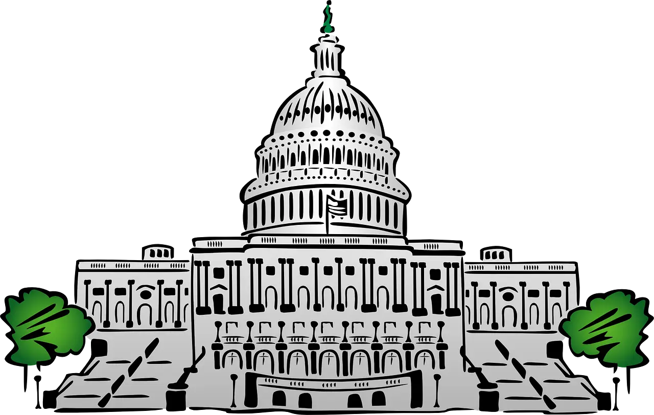 Image of the federal government solicication, contract, and award system